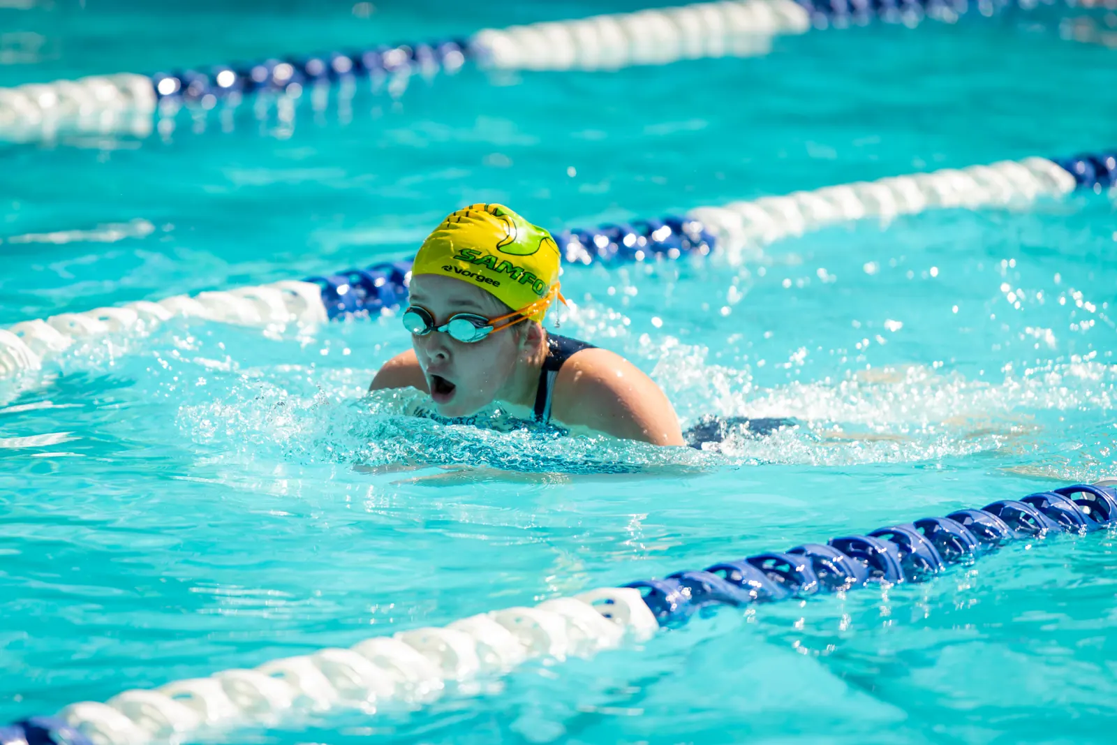 A swimmer racing breaststroke at Club Championships