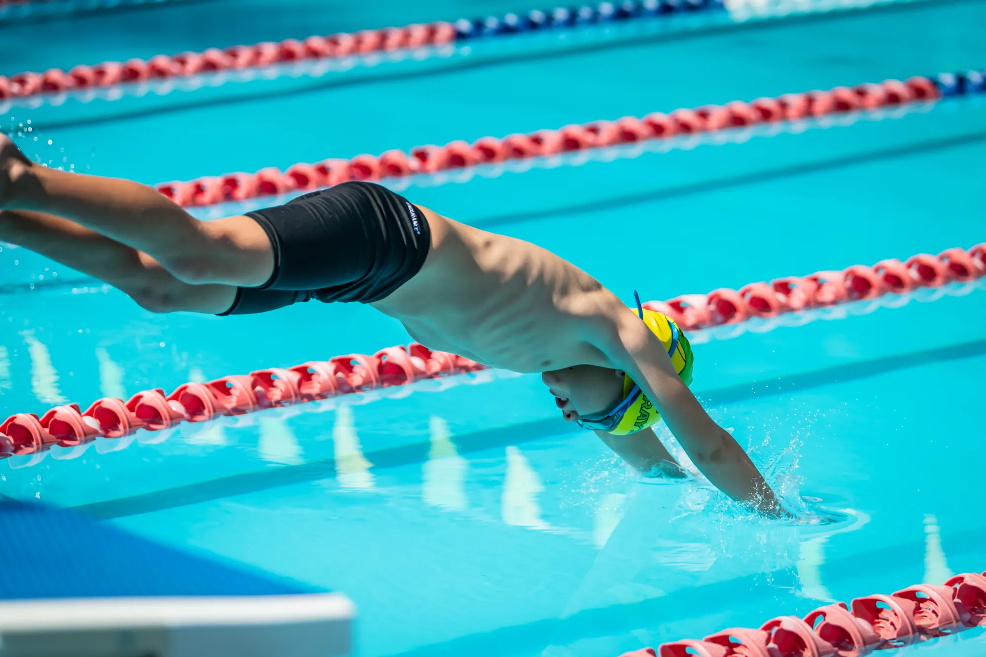 A Samford Stingrays swimmer diving into the pool