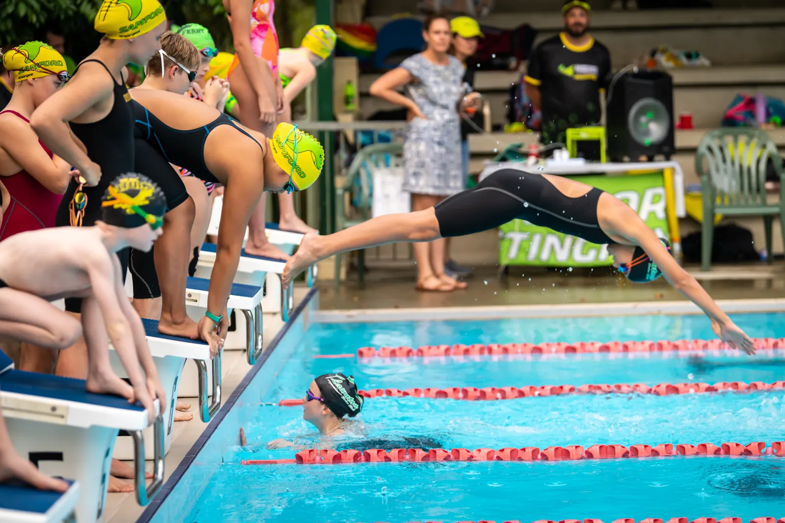 A swimmer diving off the blocks at a Stingrays meet